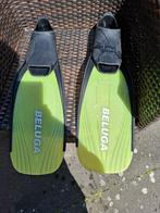 Flippers maat 40/41, Ophalen of Verzenden, Zo goed als nieuw, Zwem- of Duikvliezen