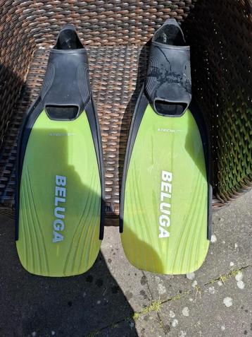 Flippers maat 40/41 beschikbaar voor biedingen