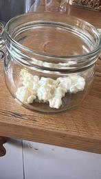 melk kefir korrels pro biotica!, Diversen, Levensmiddelen, Ophalen