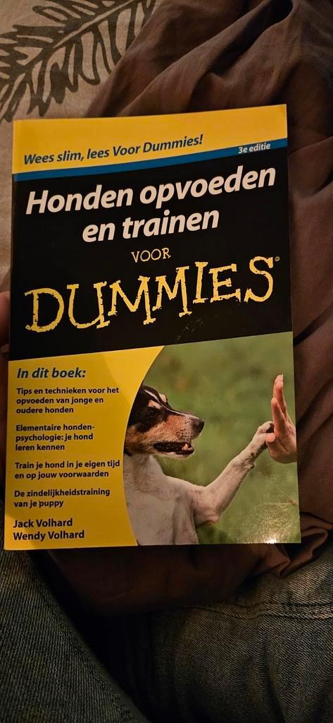 Jack Volhard - Honden opvoeden en trainen voor Dummies, Boeken, Dieren en Huisdieren, Zo goed als nieuw, Honden, Ophalen of Verzenden