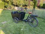 Elektrische bakfiets 3 wielen, Fietsen en Brommers, Fietsen | Bakfietsen, 4 kinderen of meer, Gebruikt, Elektrisch, Ophalen