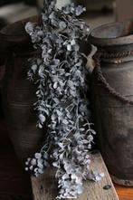 Toef eucalyptus / grijs blad, Www.jufbrocante.nl, Www.jufbrocante.nl, Nieuw, Ophalen of Verzenden