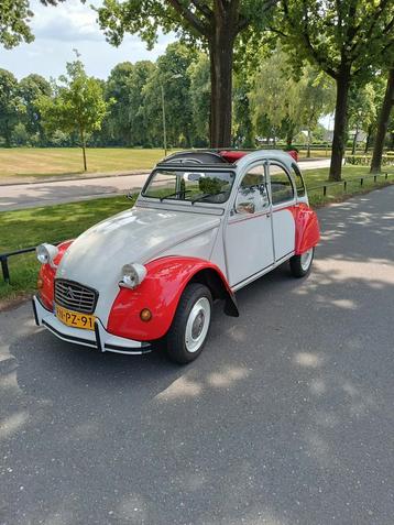 Citroën 2CV 0.6 Spec S6 1987 Wit-Rode Dolly.  beschikbaar voor biedingen