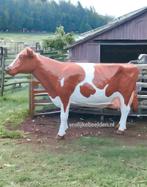 Beeld koe, polyester koe, kunstkoe, melkkoe, koe voor buiten, Nieuw, Kunststof, Ophalen of Verzenden, Dierenbeeld