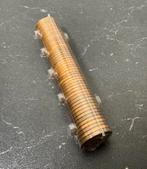 geld rol 50 stuks 1 cent FL florijn 1999 geldrol muntrol, Ophalen of Verzenden, Koningin Beatrix, ½ gulden, Setje