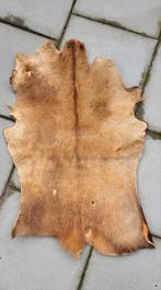 Huid van een ree, Ophalen of Verzenden, Zo goed als nieuw, Hert, Gewei of Kop