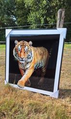 Doek leeuw en/of tijger met een zeer krachtige uitstraling💪, Ophalen, ., Nieuw, .
