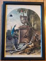 Studie aquarel naar d' Hondecoeter., Antiek en Kunst, Ophalen of Verzenden