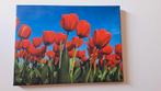 Schilderij op canvas, rode tulpen, 40x30 cm, Ophalen of Verzenden