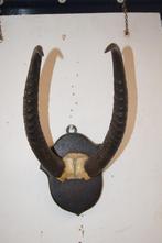 Geweien, Ophalen of Verzenden