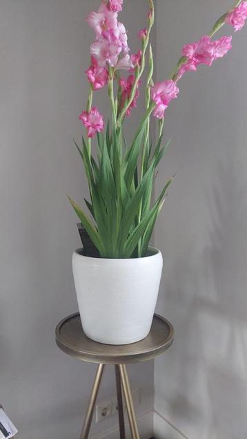 2 Bloempotten wit circa 21 cm hoog - diameter 21 cm beschikbaar voor biedingen