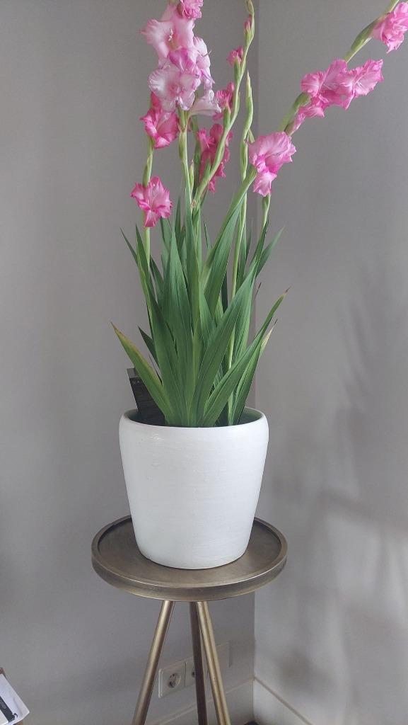 2 Bloempotten wit circa 21 cm hoog - diameter 21 cm, Tuin en Terras, Bloempotten, Gebruikt, Aardewerk, Binnen, Balkon, Tuin, Minder dan 40 cm