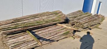 2,5 m Boompalen weipalen Fruitpalen beschikbaar voor biedingen