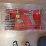 Hamsterkooi met spullen 40×80×45 cm, Kooi, Hamster, Minder dan 60 cm, Gebruikt