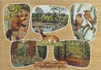 D12 Gelopen Ansichtkaart Beekbergen, Ophalen of Verzenden, 1940 tot 1960, Gelopen, Gelderland