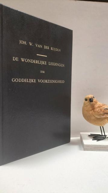 Reijden, Joh. W. van der; De wonderlijke leidingen der beschikbaar voor biedingen