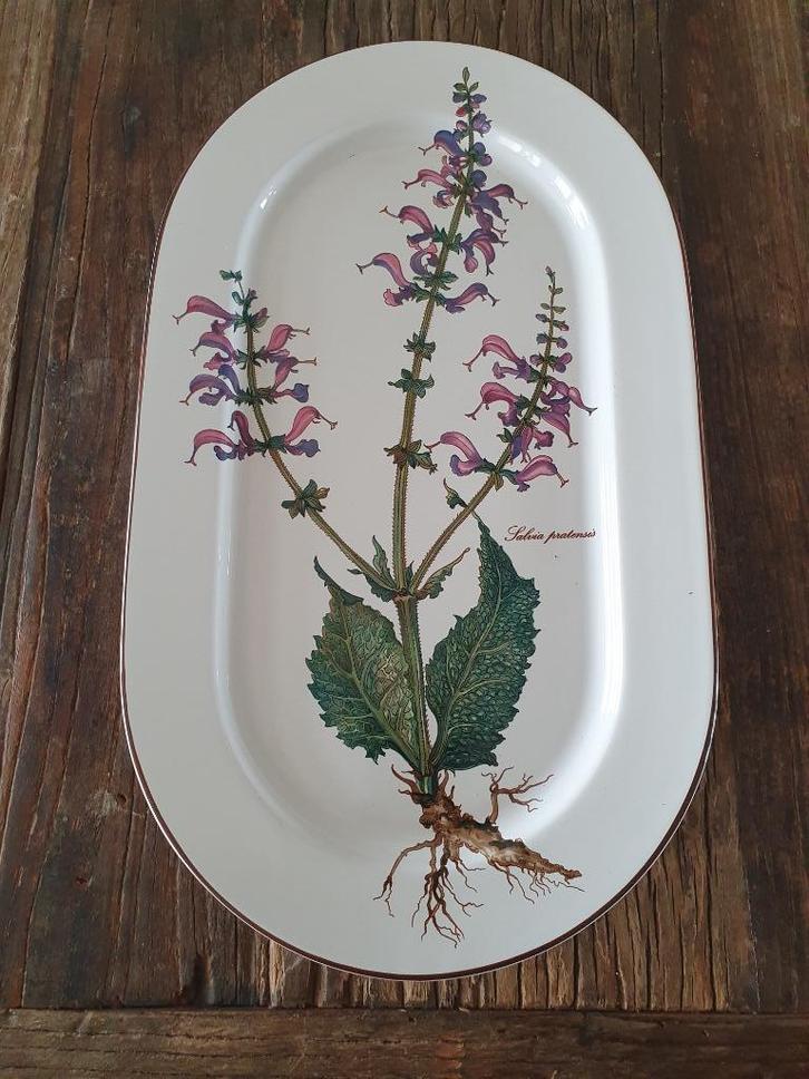 Grote Schaal Villeroy & Boch Botanica, Huis en Inrichting, Keuken | Servies, Zo goed als nieuw, Schaal of Schalen, Overige stijlen
