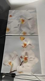 Ikea schilderijen, Ophalen, Zo goed als nieuw, Schilderij, 50 tot 75 cm