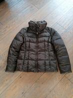 Bruine Zara gewatteerde jas met capuchon, Ophalen of Verzenden