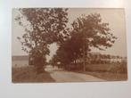 Fotokaart onbekend Friesland ? boerderij, Verzenden, Ongelopen, Friesland