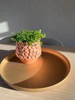 Countryfield schaal dienblad 52 cm, Ophalen of Verzenden, Gebruikt, Rond