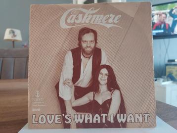 7" Single Cashmere - Love's What I Want / I Need Love beschikbaar voor biedingen