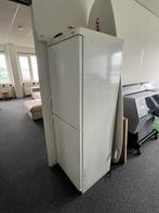 Koelkast AEG , SANTO electronic, Ophalen, 200 liter of meer, 160 cm of meer, Zo goed als nieuw