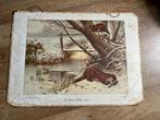 Vintage schoolplaat otters roofdieren in de winter retro, Antiek en Kunst, Natuur en Biologie, Ophalen of Verzenden