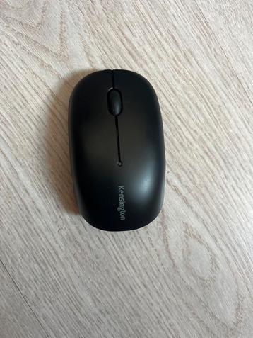 Kengiston Mouse beschikbaar voor biedingen