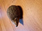 EGEL 🦔🦔, Ophalen of Verzenden, Dier