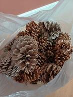 Gratis dennenappels, Ophalen, Gebruikt