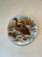 Royal Schwabap Wandbord eenden, Ophalen