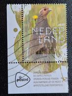 167 BdN Boerenlandvogels 2020 - Patrijs - 3829 hoekstuk, Verzenden, Na 1940, Gestempeld