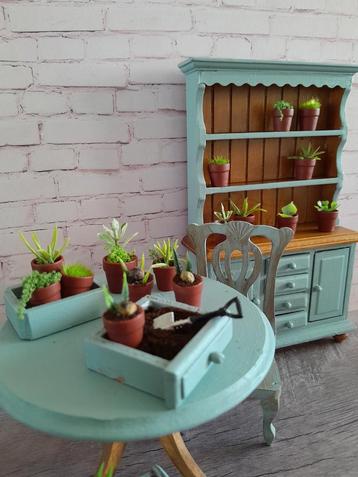 🪴 PPH 1.12 DIVERSE STEKJES & PLANTJES IN 1,2CM POTJES 🪴 beschikbaar voor biedingen