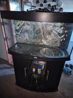 Juwel aquarium 180 liter, Dieren en Toebehoren, Vissen | Aquaria en Toebehoren, Ophalen of Verzenden, Zo goed als nieuw, Leeg aquarium