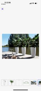 Elho Pure Soft Round High 90,4 cm Bloempot nieuw, Kunststof, 40 cm of meer, Rond, Ophalen of Verzenden