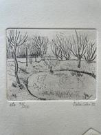 Pieter Colen '82 twee etsjes achter glas, Antiek en Kunst, Kunst | Etsen en Gravures, Ophalen of Verzenden