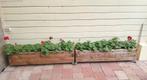 Houten plantenbakken met geraniums - 2 stuks, Tuin en Terras, Ophalen, Gebruikt, Minder dan 30 cm, Balkon