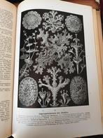 Mikrokosmos, Jahrbuch der Mikroskopie, 1936/1937/1942, Ophalen of Verzenden, Gelezen, Natuur algemeen