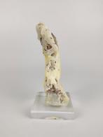 Bruciet, Ophalen of Verzenden