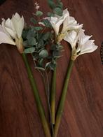 Mooie Amarylles bloemen, Ophalen of Verzenden, Zo goed als nieuw
