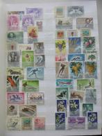 Dik stockboek San Marino, FIUME, Vaticaanstad, Suriname,, Ophalen of Verzenden, Buitenland