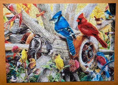Audubon 1000🧩 Backyard Birds, Hobby en Vrije tijd, Denksport en Puzzels, Zo goed als nieuw, Legpuzzel, 500 t/m 1500 stukjes, Ophalen of Verzenden