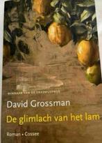 DAVID GROSSMAN DE GLIMLACH VAN HET LAM ROMAN COSSEE, Ophalen of Verzenden, Zo goed als nieuw, David Grossman