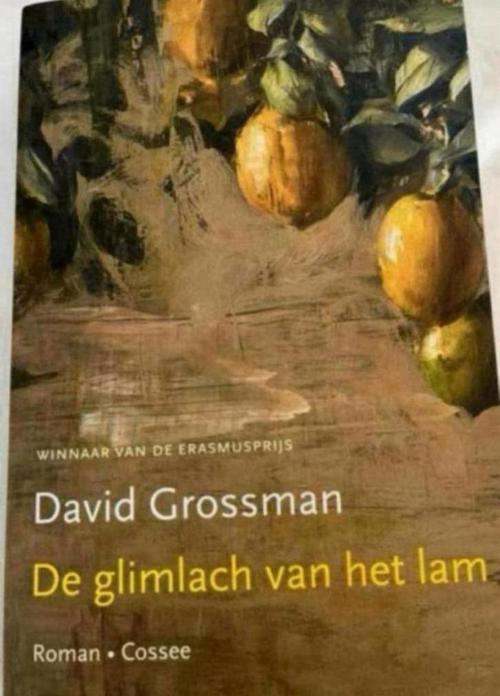 DAVID GROSSMAN DE GLIMLACH VAN HET LAM ROMAN COSSEE, Boeken, Romans, Zo goed als nieuw, Ophalen of Verzenden