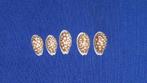 schelpen, Cypraea cribraria, set van 5 stuks, Ophalen of Verzenden, Schelp(en)