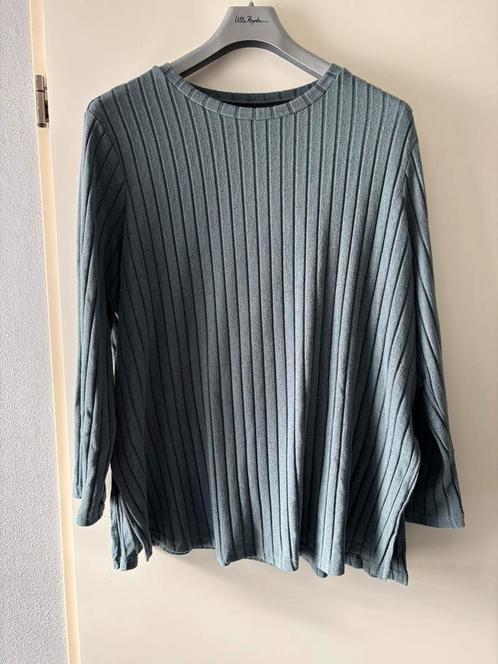Nieuw blauw/grijs shirt maat 4XL, Kleding | Dames, Grote Maten, Nieuw, Shirt of Top, Blauw, Ophalen of Verzenden