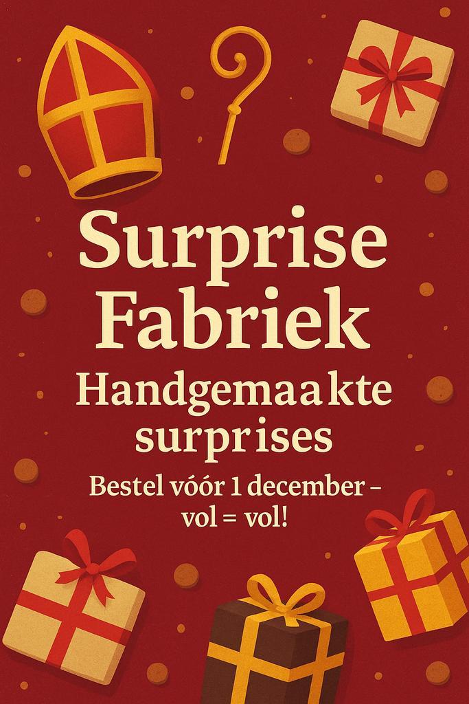 Sinterklaas surprises, Diversen, Sinterklaas, Zo goed als nieuw, Ophalen of Verzenden