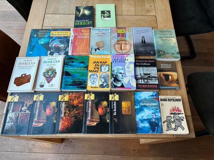 Nederlandse literatuur diverse boeken paperbacks, Boeken, Literatuur, Zo goed als nieuw, Nederland, Ophalen of Verzenden