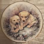 Royal Kent Bord met Puppies Labrador, Antiek en Kunst, Ophalen of Verzenden